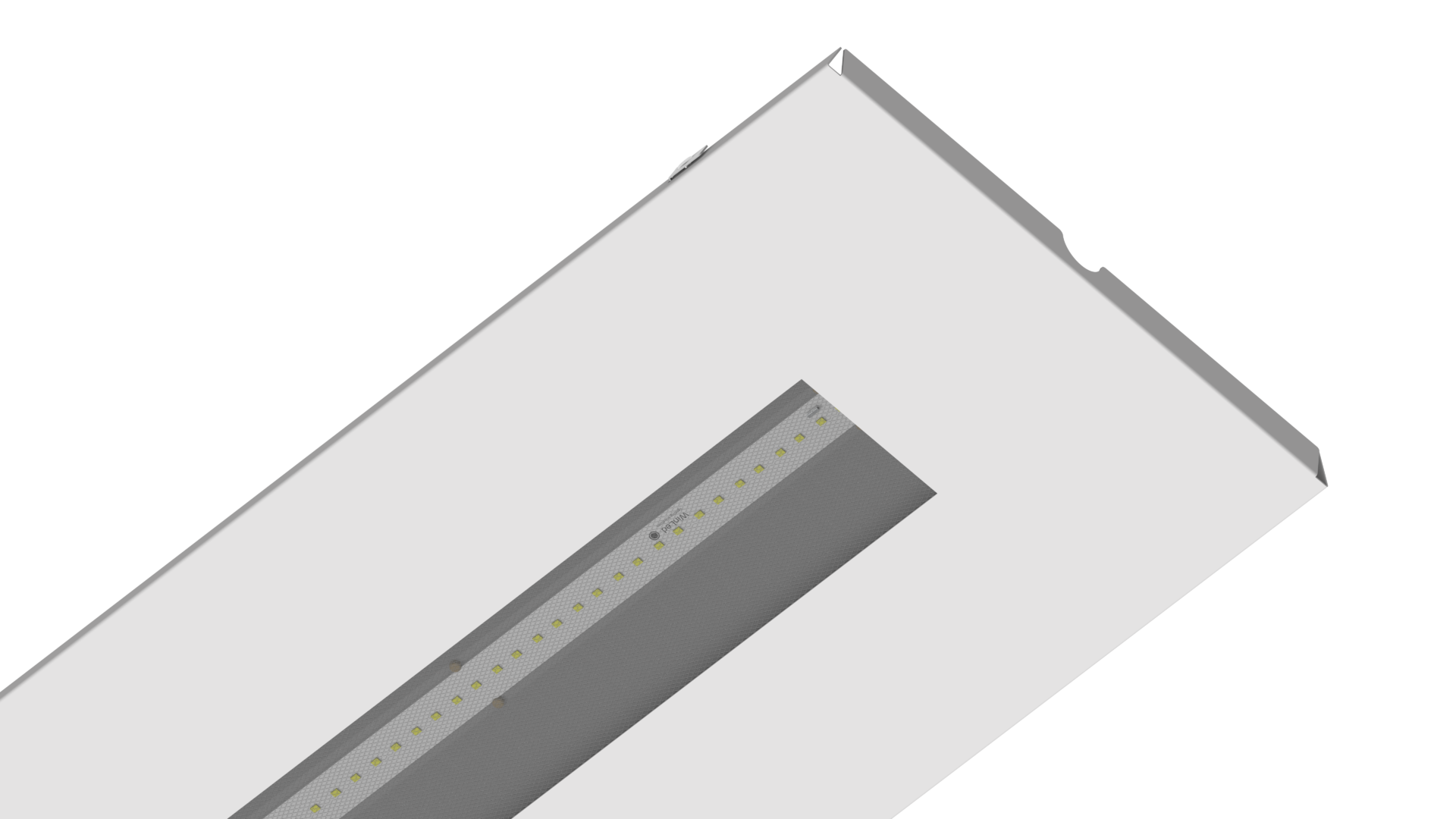 Winled Bandraster kop.1176